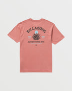 A/Div Agave Tee - Dusty Rose