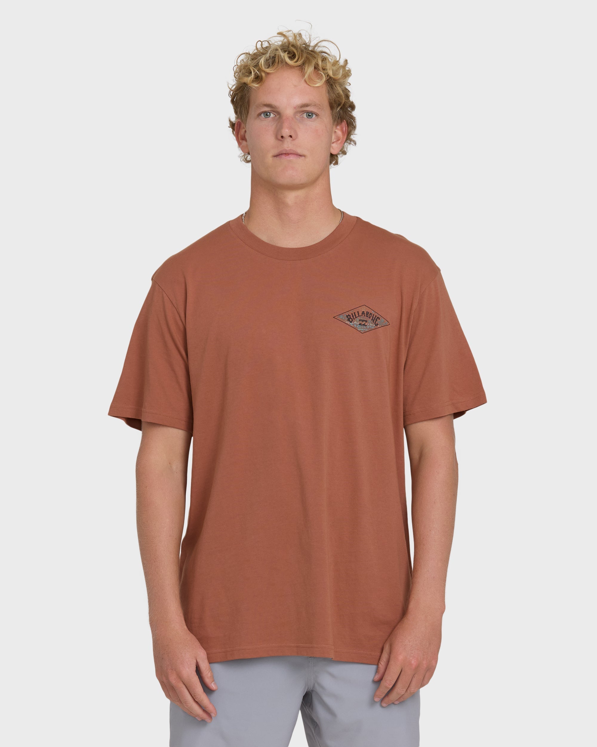 A/Div Arch Premium Short Sleeve Knit T-Shirt - Cedar Wood
