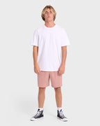 Crossfire Elastic Wave Washed 18 Amphibian Hybrid Shorts - Ash Rose